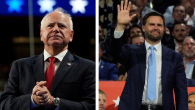 VA employees improperly viewed health records of both VP candidates