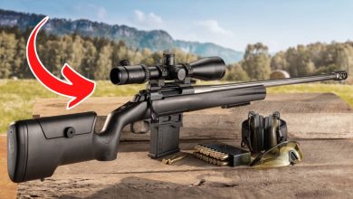 5 Best-Priced Hunting Rifles With Awesome Accuracy [2024]