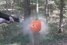 Pumpkin Killing Methods 2024