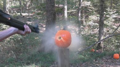 Pumpkin Killing Methods 2024