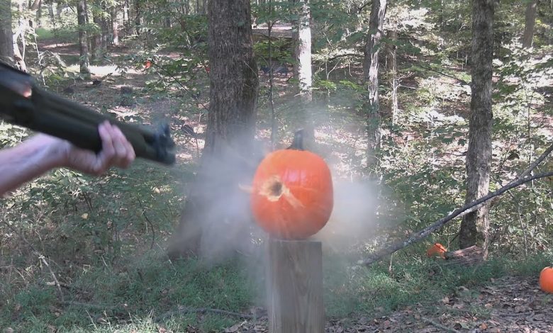 Pumpkin Killing Methods 2024