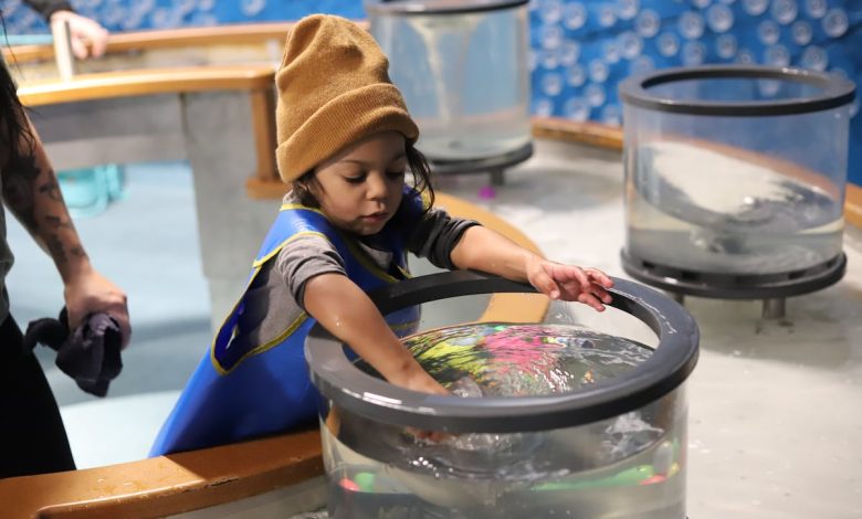 First-ever children’s museum on a military base gets top service award