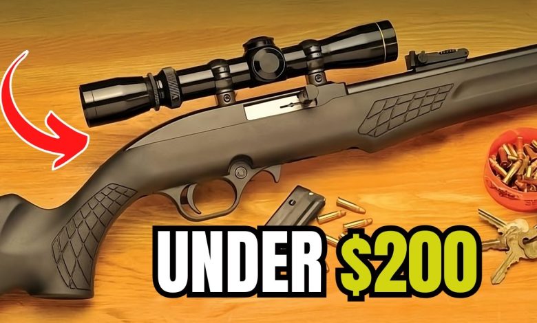 TOP 5 Best Affordable Guns Under 0 That Are Surprisingly AWESOME!