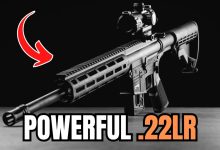 5 Most POWERFUL .22 Caliber Guns on The Planet