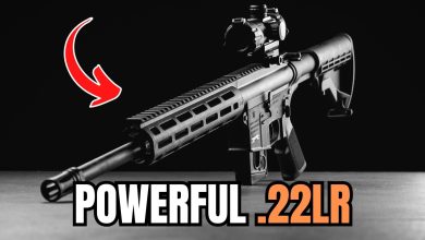 5 Most POWERFUL .22 Caliber Guns on The Planet