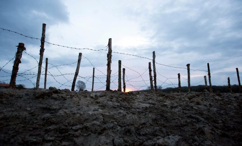 Why the 1914 Christmas Truce changed nothing on the Western Front