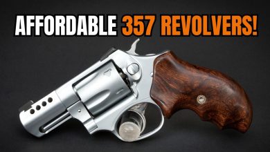 Best Affordable .357 Magnum Revolvers in 2025 – MAXIMUM Power on a Budget