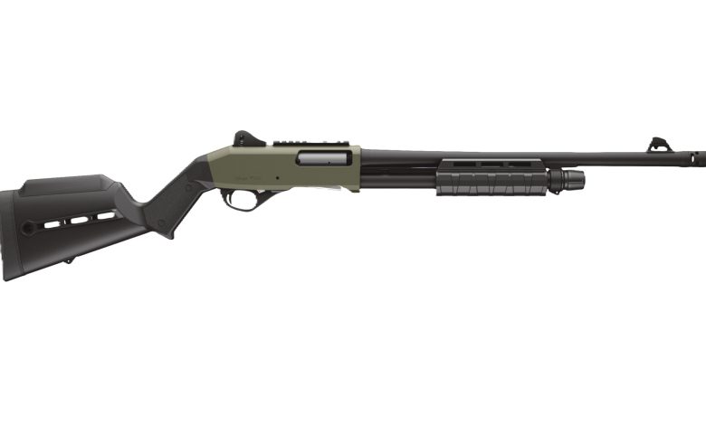 First Look: Stoeger P3000 Tactical Shotgun