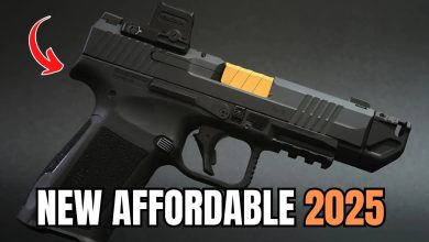 5 New Affordable Guns You MUST BUY In This Market (2025)