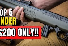 5 Best Affordable Guns Under 0 You Should Get Right Now!