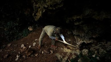 Okinawan bone digger searches for remains from WWII battle