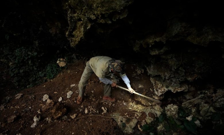 Okinawan bone digger searches for remains from WWII battle