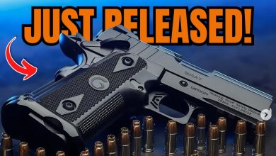 TOP 15 Best Concealed Carry Guns 2025: New #1 Carry Gun!