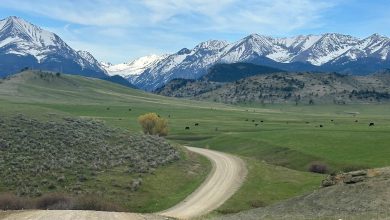 Guard helo trespassed on Montana ranch to take deer antlers: citation