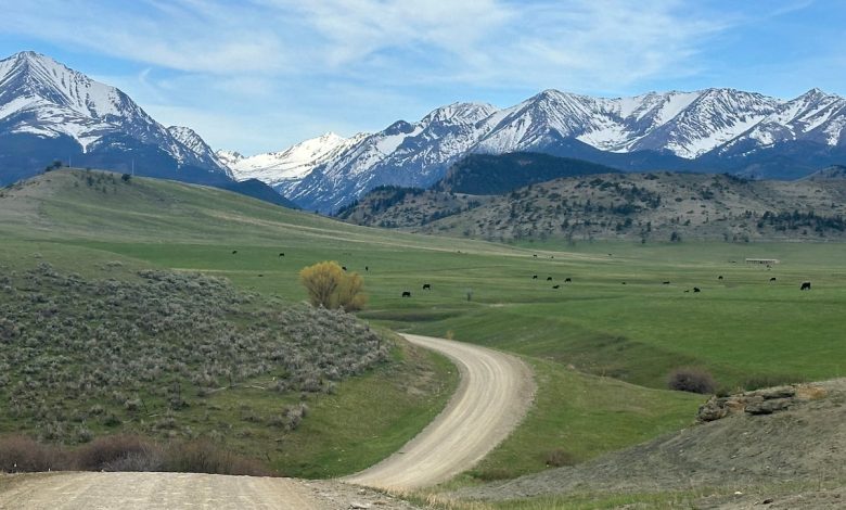 Guard helo trespassed on Montana ranch to take deer antlers: citation