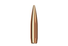 First Look: New Rifle Bullets from Lapua