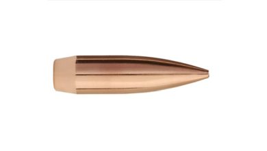 First Look: Sierra MatchKing X Bullets