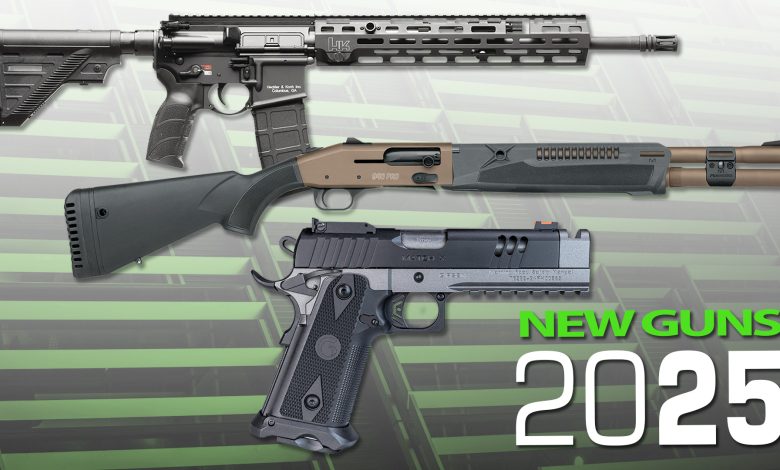 New Guns for 2025