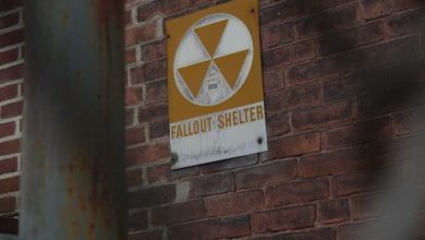 What Remains, What’s At Risk, and How to Survive – Survivopedia