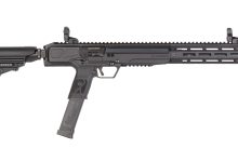Review: Ruger LC Carbine 10 mm