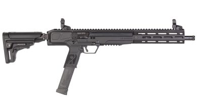 Review: Ruger LC Carbine 10 mm
