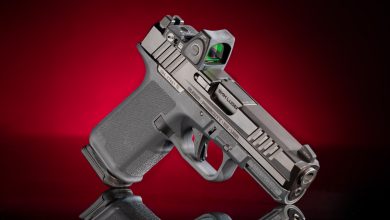 Review: Ruger RXM 9 mm Pistol