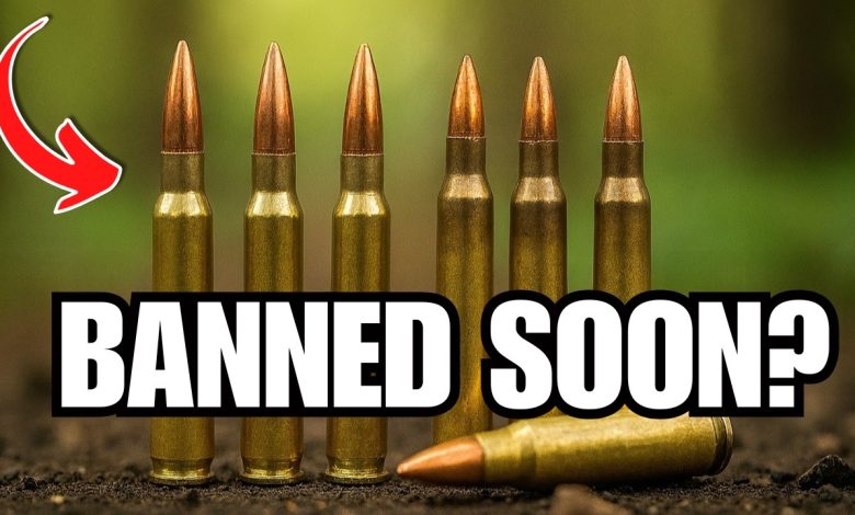 BIG Shortage INCOMING: 7 Calibers Every Gun Owner Should Stock in 2025!