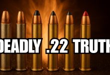 Why Criminals Fear The .22 Magnum More Than You Think