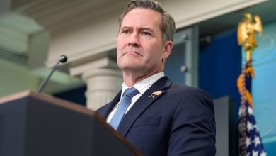 Mike Waltz pledges to make UN ‘great again’ in confirmation hearing