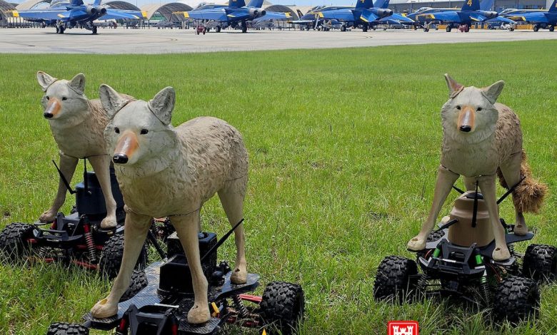 Army tests robotic coyotes to defend fighter jets Army tests robotic coyotes to defend fighter jets