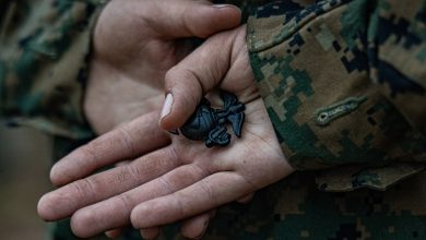 Two Marine veterans help stop stabbing spree at Michigan Walmart