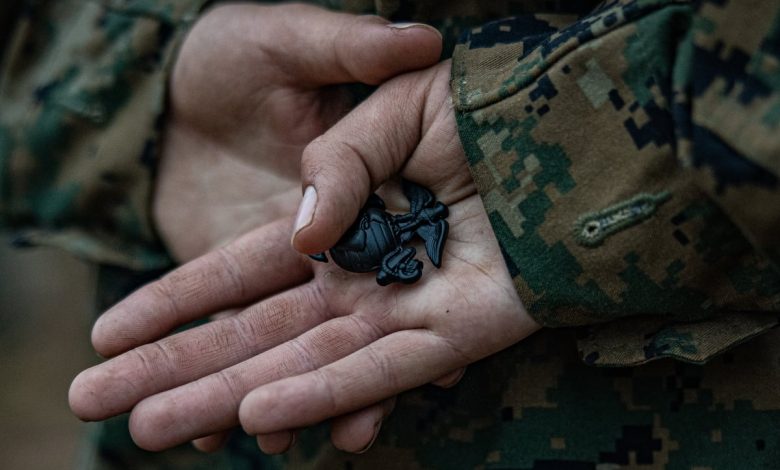 Two Marine veterans help stop stabbing spree at Michigan Walmart Two Marine veterans help stop stabbing spree at Michigan Walmart
