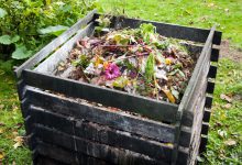 9 Composting Mistakes – All that Stands Between You and Black Gold – Survivopedia