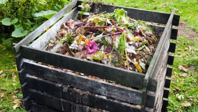 9 Composting Mistakes – All that Stands Between You and Black Gold – Survivopedia