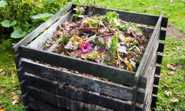 9 Composting Mistakes – All that Stands Between You and Black Gold – Survivopedia