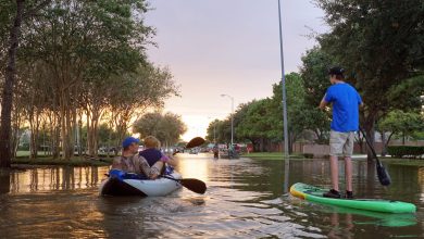 Floods, Floods Everywhere – Survivopedia