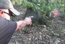 Colt King Cobra  22LR Woods Walk