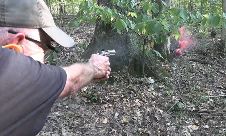 Colt King Cobra  22LR Woods Walk