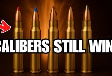 7 Forgotten Hunting Calibers That Are More Accurate Than Modern Calibers!