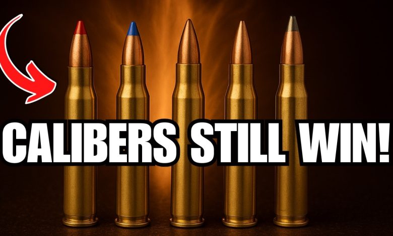 7 Forgotten Hunting Calibers That Are More Accurate Than Modern Calibers!
