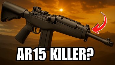 10 Reasons Why the Ruger Mini-14 SMASHES the AR15