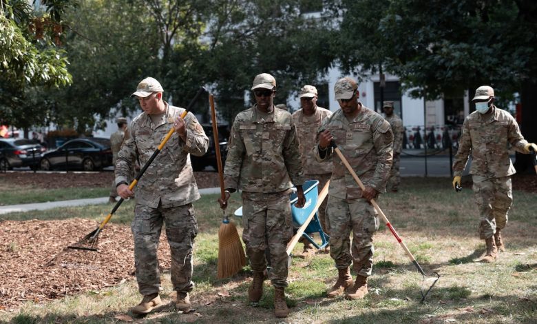 The National Guard, DC landscaping and the great pursuit of lethality The National Guard, DC landscaping and the great pursuit of lethality