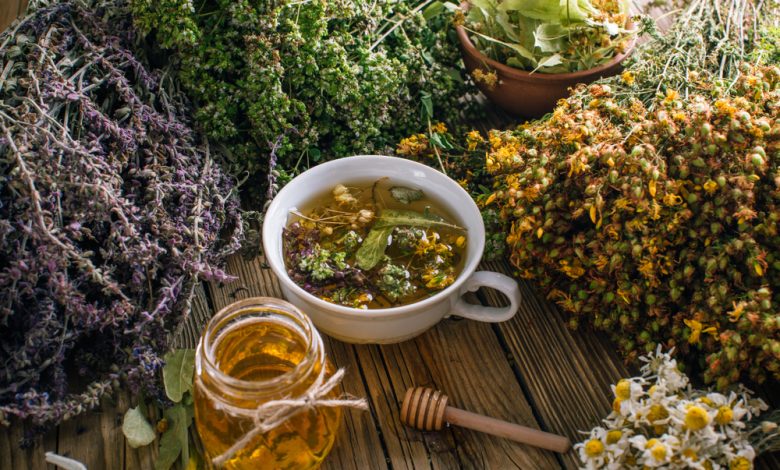 Herbal and Alternative Antibiotics – Survivopedia Herbal and Alternative Antibiotics – Survivopedia