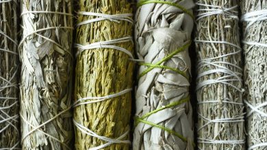 8 Medicinal Plants the Native Americans Used for Survival – Survivopedia