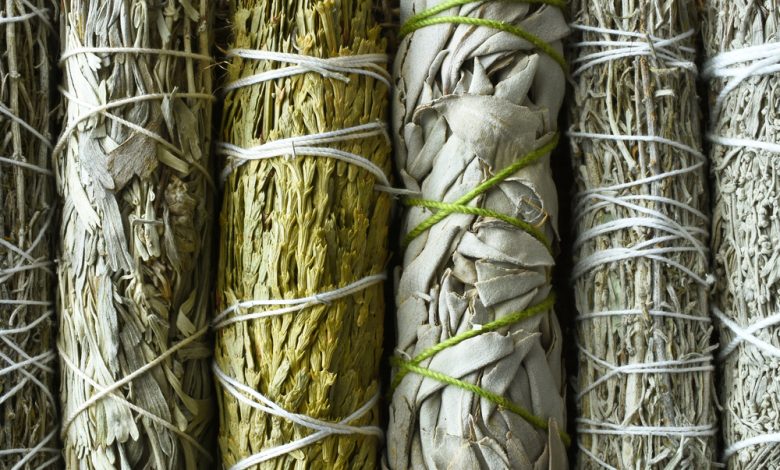 8 Medicinal Plants the Native Americans Used for Survival – Survivopedia