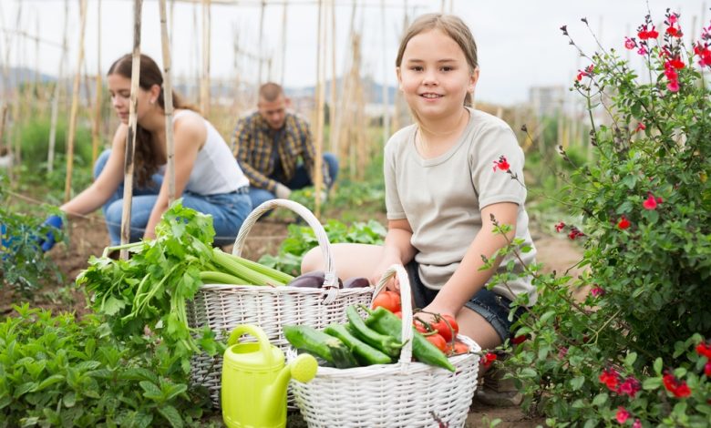 Raising Strong Kids in a Weak Culture – Survivopedia