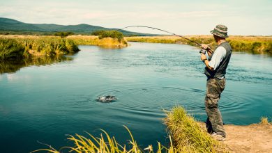 Catching and Preserving Fish in Survival Situations – Survivopedia