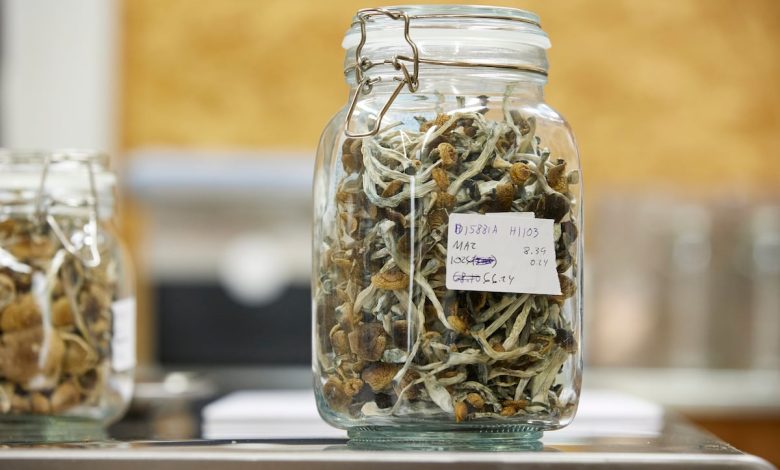 Troops will be drug tested for psychedelic mushroom use, Pentagon says