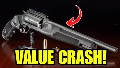 6 GUNs That CRASHED in Value from 2024 to 2025