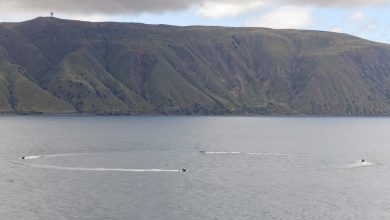 Man pleads guilty after landing plane twice on island naval base